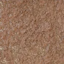 IMG_6273.webp