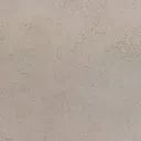 IMG_6284.webp