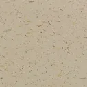 IMG_6249 2.webp