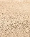 IMG_5914.webp