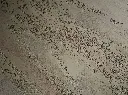 TONACHINO CENTRI STORICI GF STONE EFFECT.webp