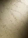 TONACHINO SAN TOMMASO G F GINSENG.webp